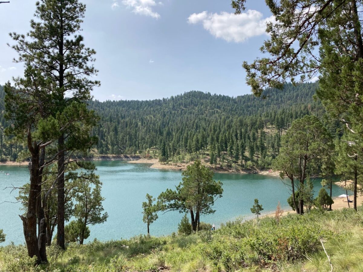 Where To See Local Wildlife In Ruidoso, New Mexico 